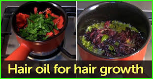 Hibiscus For Hair Growth and hair problem