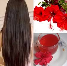 Hibiscus For Hair Growth and problem