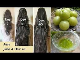 Amla for Hair Growth gives Benefits of Amla for Hair Problem