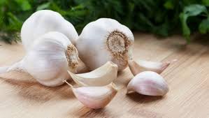 Garlic for health