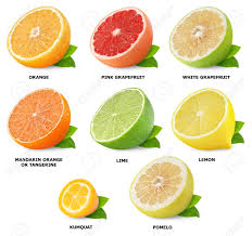 citrus fruits