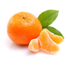 Citrus fruits list