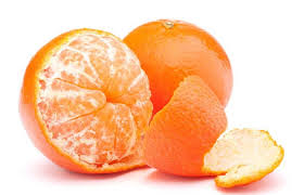 Citrus fruits list