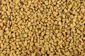 Immune Boosting Spices fenugreek