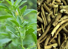 Ashwagandha Side Effects In Hindi