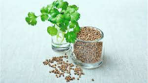 Coriander (Dhaniya) For Health