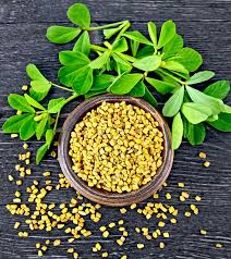 Benefits of Fenugreek(Methi)